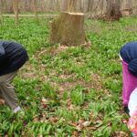 763A3E57-9B24-4168-AE74-C31756E315B9