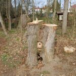 A18D4F82-724C-4647-B11A-29BB0FCE4A42